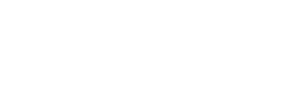 logo_V3